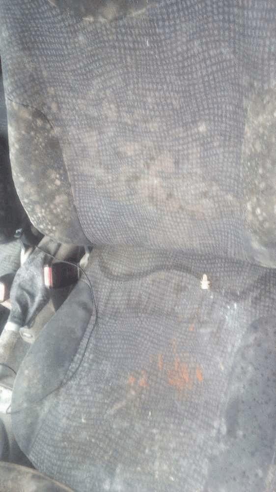 Imagen grande del producto