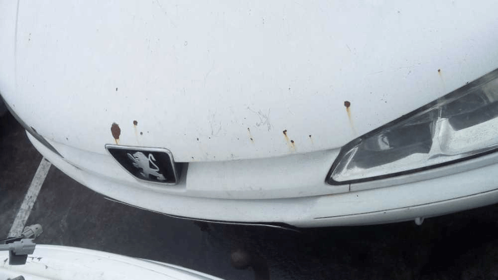 Imagen grande del producto