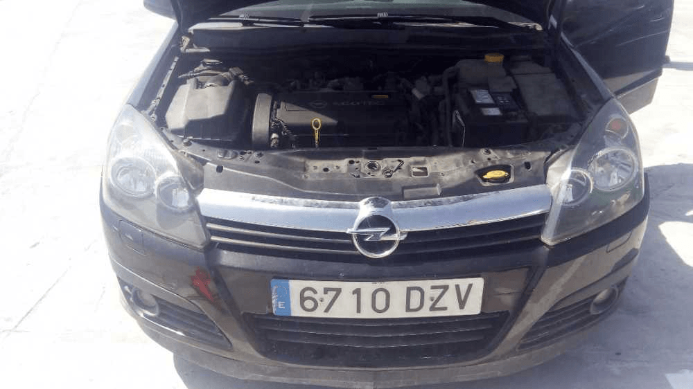 Imagen grande del producto