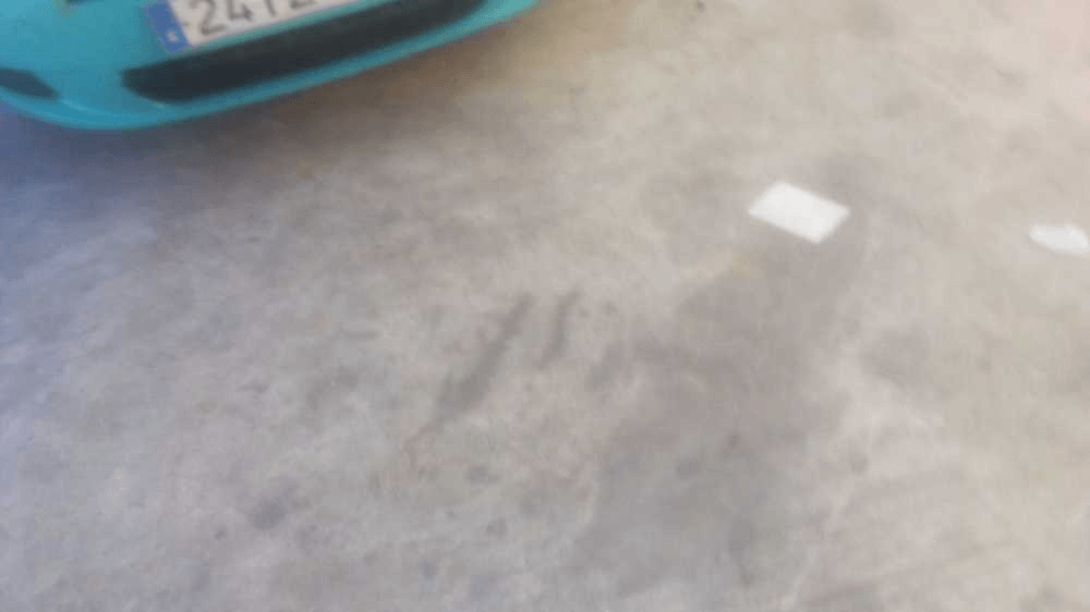 Imagen grande del producto