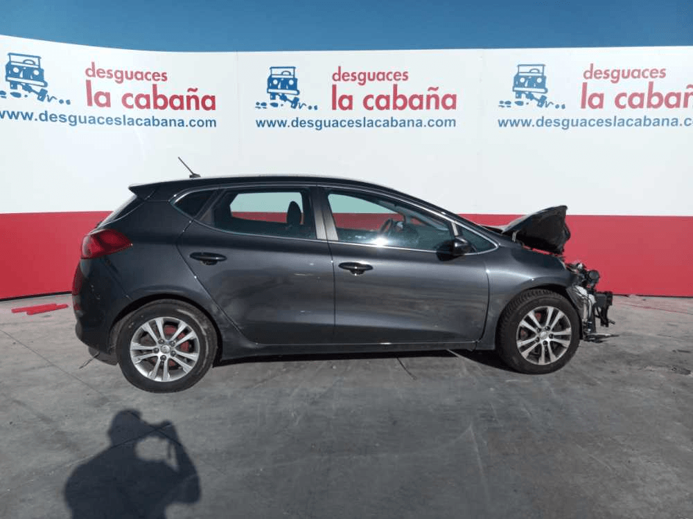 Imagen grande del producto