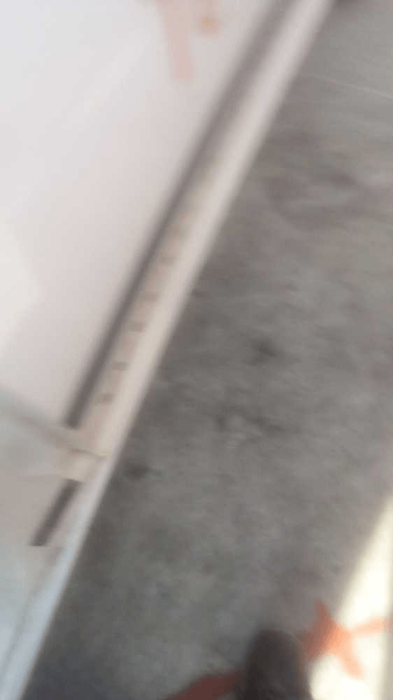 Imagen grande del producto