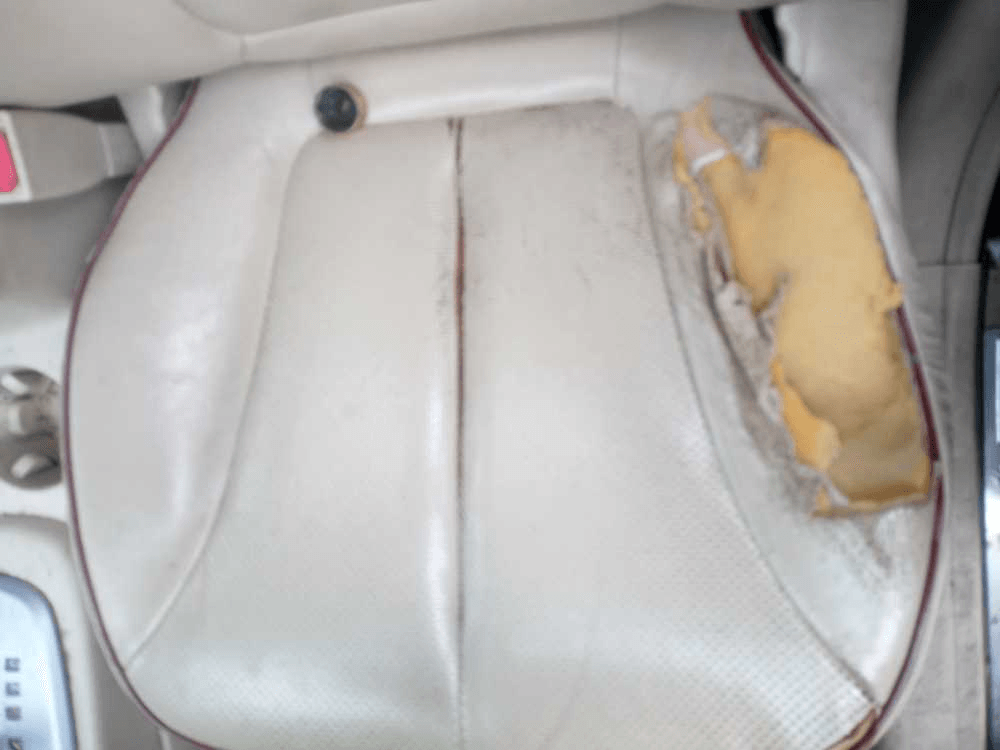 Imagen grande del producto