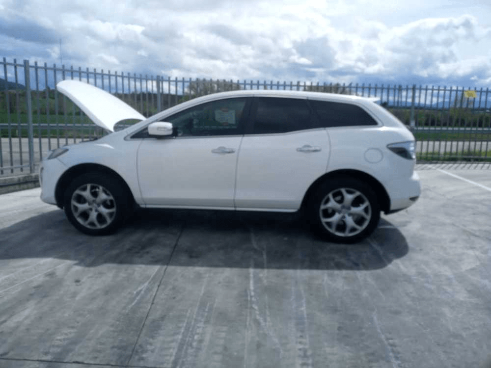 Imagen grande del producto