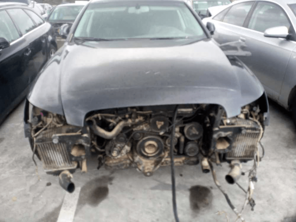 Imagen grande del producto