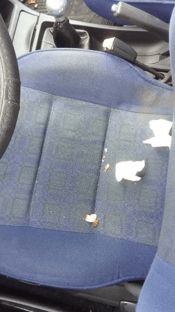 Imagen grande del producto