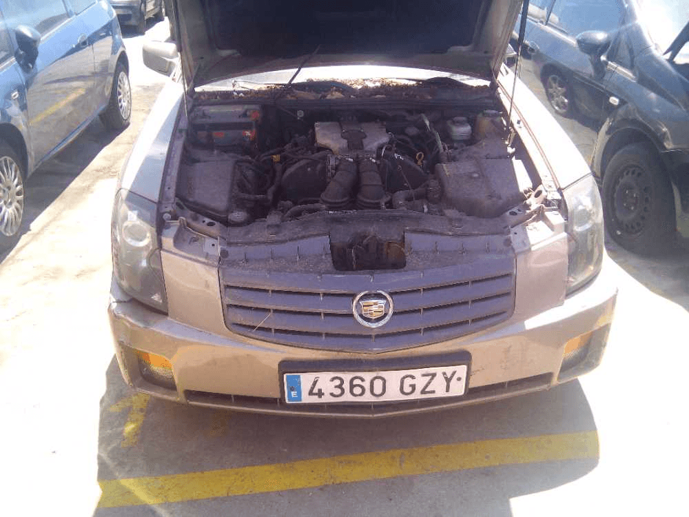 Imagen grande del producto